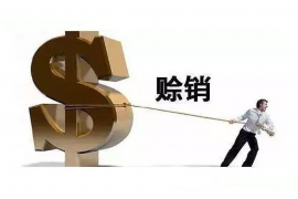 滦南企业清欠服务